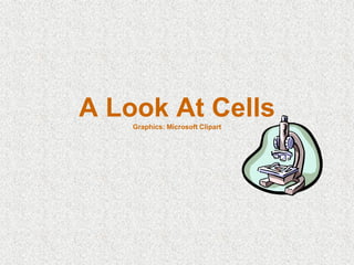 Cells, Cells, Cells 2008