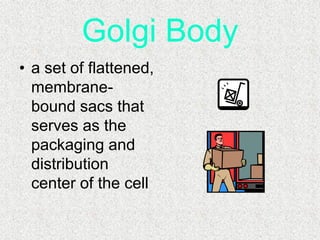 Cells, Cells, Cells 2008