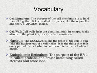 Cells, Cells, Cells 2008