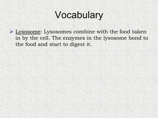 Cells, Cells, Cells 2008