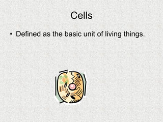 Cells, Cells, Cells 2008