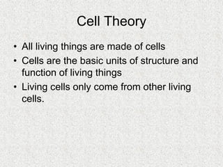 Cells, Cells, Cells 2008