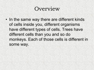 Cells, Cells, Cells 2008