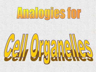 Cells, Cells, Cells 2008