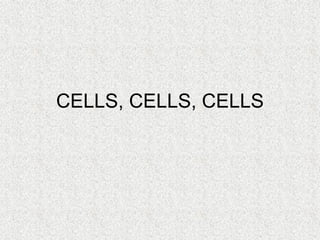 CELLS, CELLS, CELLS
 