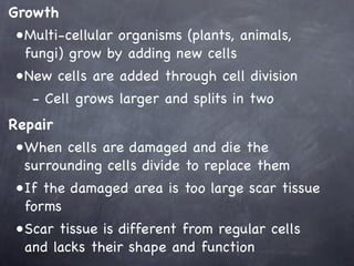 Cells- growth and repair | KEY