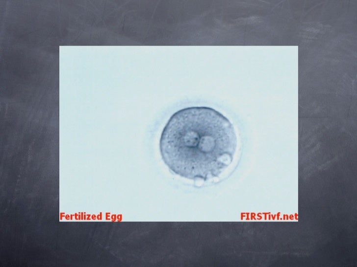 Cells- growth and repair
