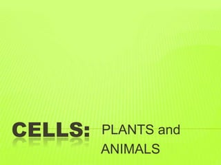 CELLS:   PLANTS and
         ANIMALS
 