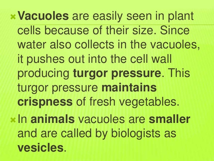 Cells module 2