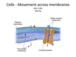 Cells - Movement across membranes
BIOL 1306
Ebeling
 