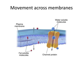 Movement across membranes
 