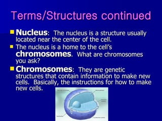Terms/Structures continued Nucleus :  The nucleus is a structure usually located near the center of the cell. The nucleus is a home to the cell’s  chromosomes .  What are chromosomes you ask? Chromosomes :  They are genetic structures that contain information to make new cells.  Basically, the instructions for how to make new cells.  