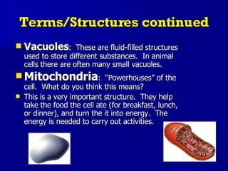 Terms/Structures continued Vacuoles :  These are fluid-filled structures used to store different substances.  In animal cells there are often many small vacuoles. Mitochondria :  “Powerhouses” of the cell.  What do you think this means? This is a very important structure.  They help take the food the cell ate (for breakfast, lunch, or dinner), and turn the it into energy.  The energy is needed to carry out activities. 