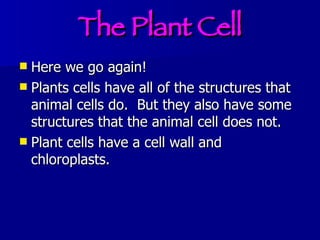 The Plant Cell Here we go again! Plants cells have all of the structures that animal cells do.  But they also have some structures that the animal cell does not. Plant cells have a cell wall and chloroplasts. 