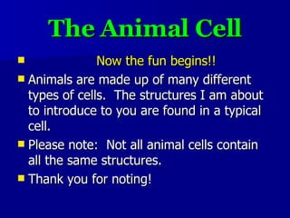 The Animal Cell Now the fun begins!! Animals are made up of many different types of cells.  The structures I am about to introduce to you are found in a typical cell.  Please note:  Not all animal cells contain all the same structures.  Thank you for noting! 
