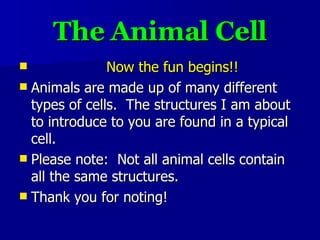 The Animal Cell <ul><li>Now the fun begins!! </li></ul><ul><li>Animals are made up of many different types of cells.  The ...