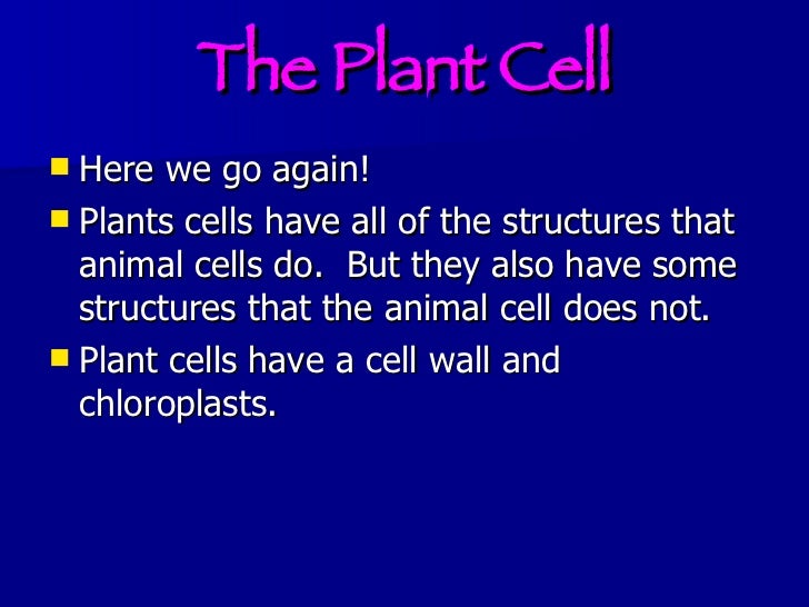 Plant cell video animation presentation