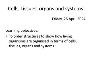 Cells, tissues, organs and systems
Friday, 26 April 2024
Learning objectives:
• To order structures to show how living
organisms are organised in terms of cells,
tissues, organs and systems.
 