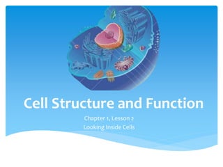 Cell Structure and Function 
Chapter 1, Lesson 2 
Looking Inside Cells 
 