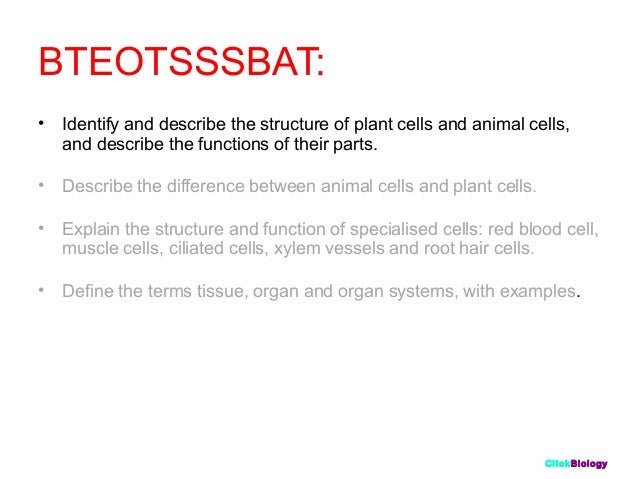 Cells 1