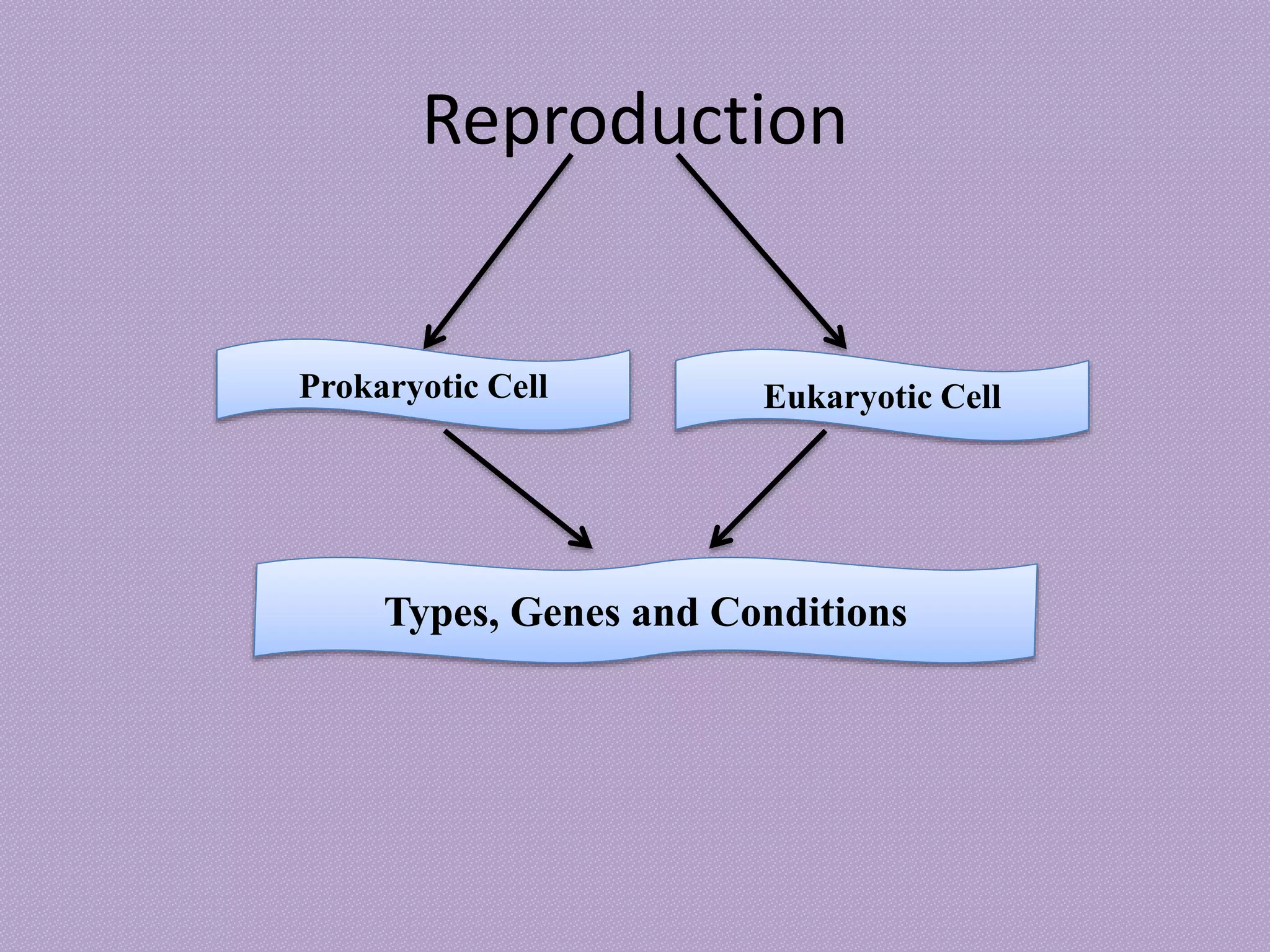 Reproduction
Prokaryotic Cell Eukaryotic Cell
Types, Genes and Conditions
 