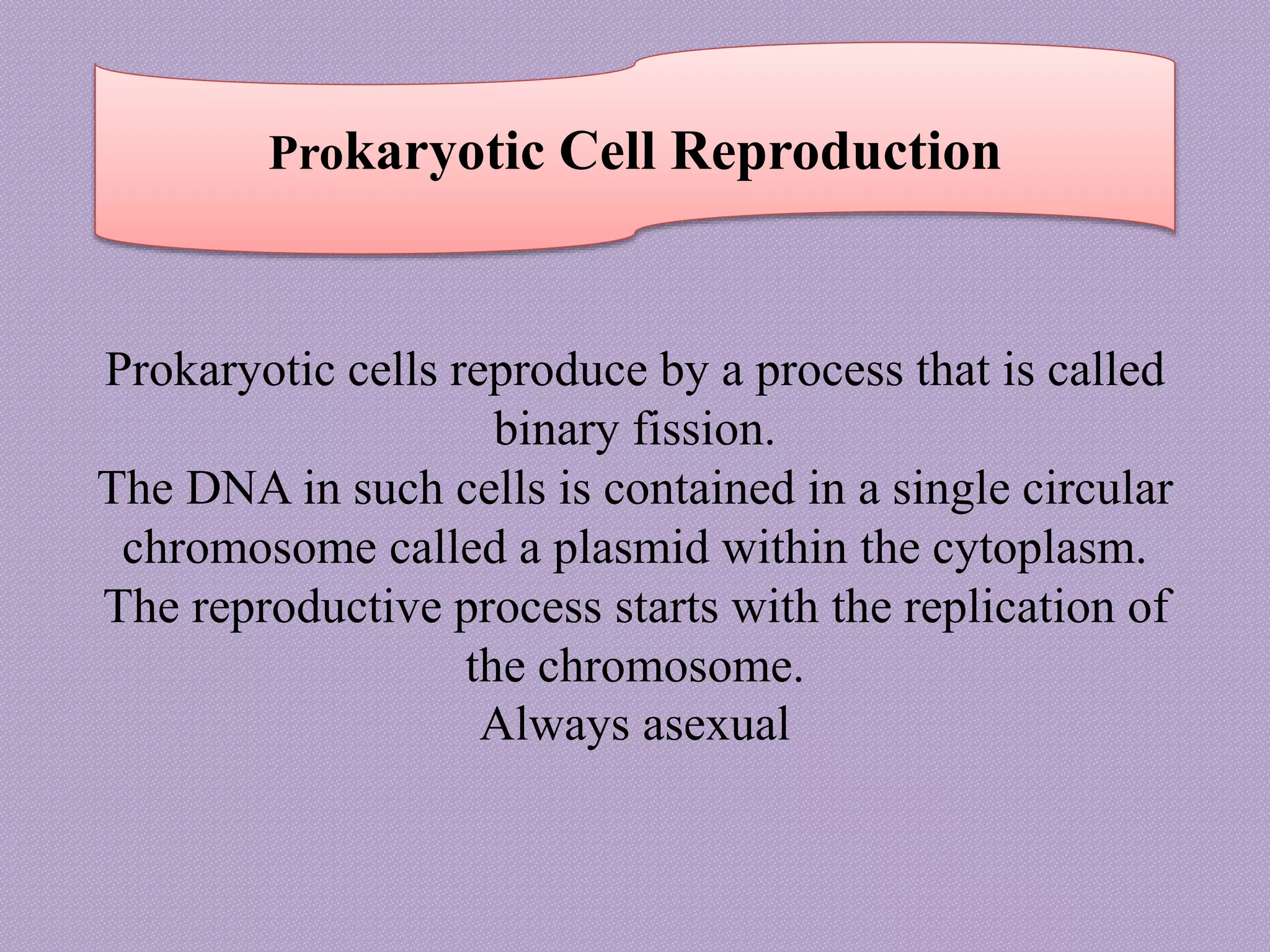Prokaryotic cells reproduce by a process that is called
binary fission.
The DNA in such cells is contained in a single circular
chromosome called a plasmid within the cytoplasm.
The reproductive process starts with the replication of
the chromosome.
Always asexual
Prokaryotic Cell Reproduction
 
