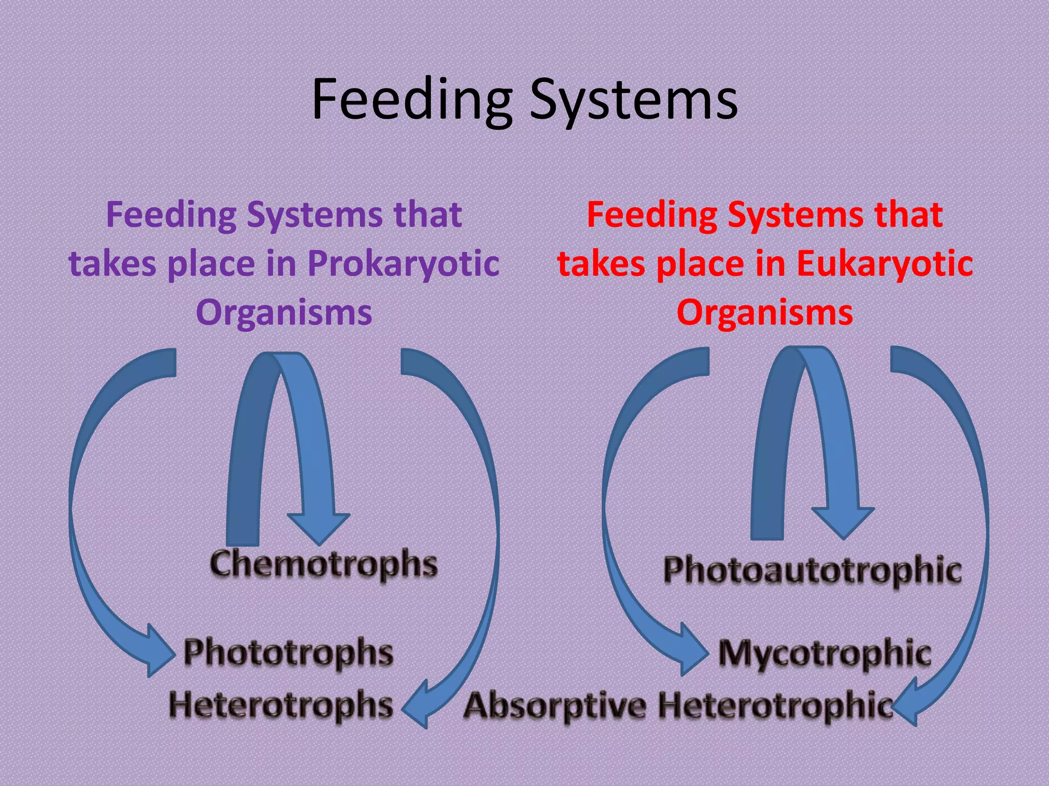 Feeding Systems
Feeding Systems that
takes place in Prokaryotic
Organisms
Feeding Systems that
takes place in Eukaryotic
Organisms
 