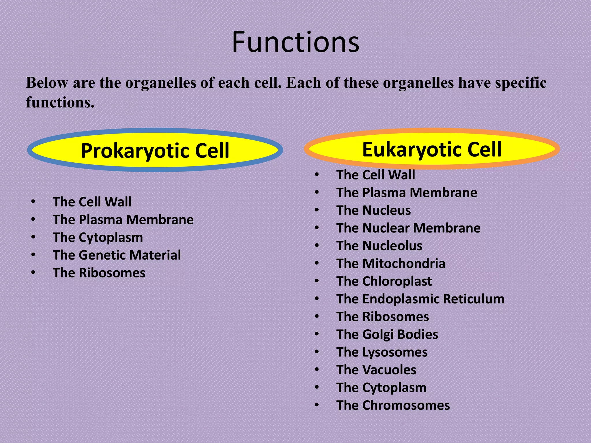 Functions
• The Cell Wall
• The Plasma Membrane
• The Cytoplasm
• The Genetic Material
• The Ribosomes
Prokaryotic Cell
• The Cell Wall
• The Plasma Membrane
• The Nucleus
• The Nuclear Membrane
• The Nucleolus
• The Mitochondria
• The Chloroplast
• The Endoplasmic Reticulum
• The Ribosomes
• The Golgi Bodies
• The Lysosomes
• The Vacuoles
• The Cytoplasm
• The Chromosomes
Eukaryotic Cell
Below are the organelles of each cell. Each of these organelles have specific
functions.
 