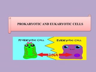 ~
PROKARYOTIC AND EUKARYOTIC CELLS
 