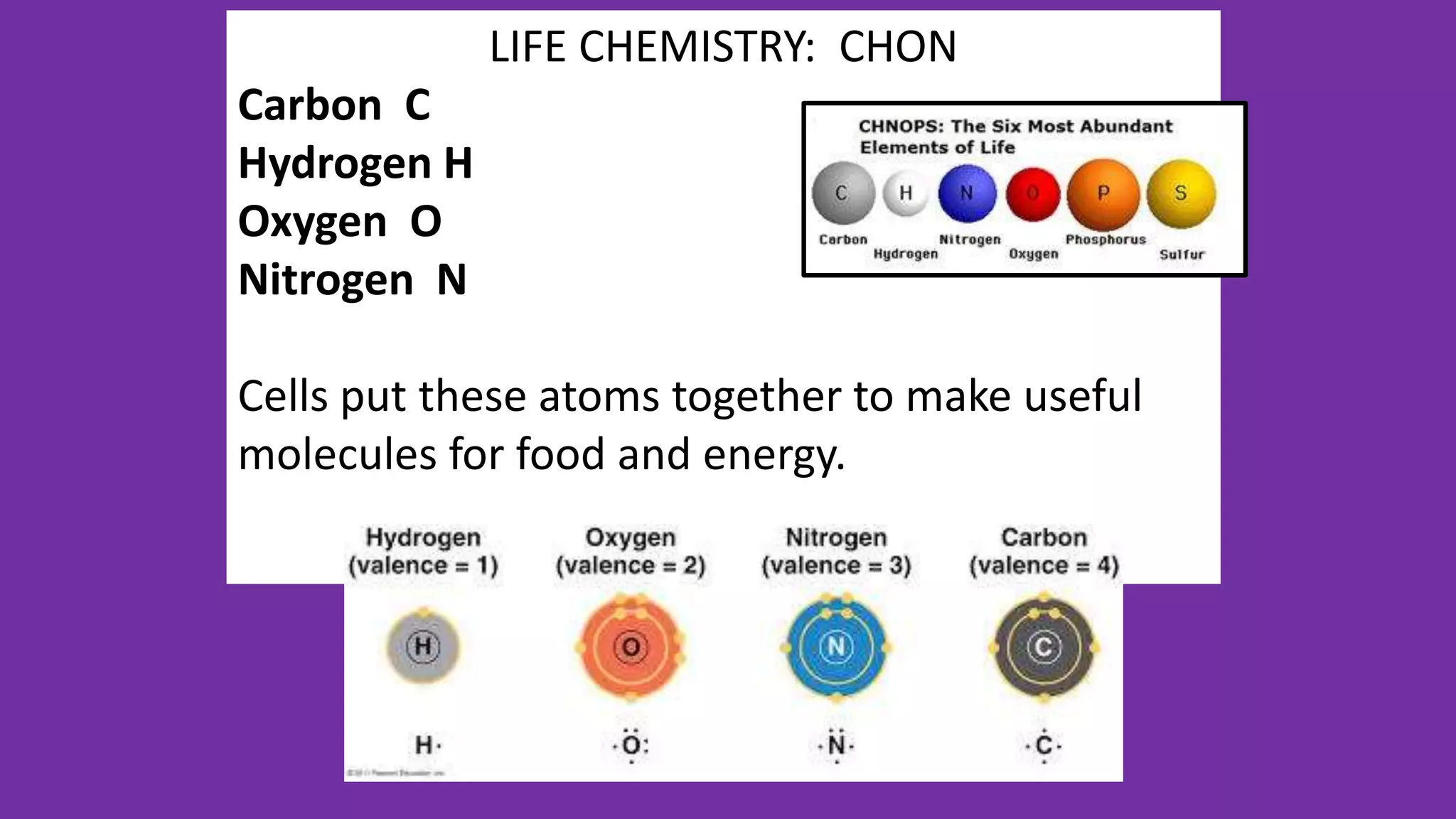 LIFE CHEMISTRY: CHON
Carbon C
Hydrogen H
Oxygen O
Nitrogen N
Cells put these atoms together to make useful
molecules for food and energy.
 