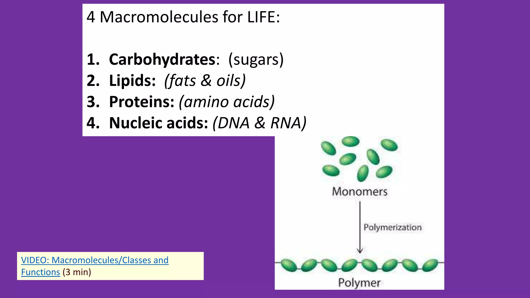 4 Macromolecules for LIFE:
1. Carbohydrates: (sugars)
2. Lipids: (fats & oils)
3. Proteins: (amino acids)
4. Nucleic acids: (DNA & RNA)
VIDEO: Macromolecules/Classes and
Functions (3 min)
 