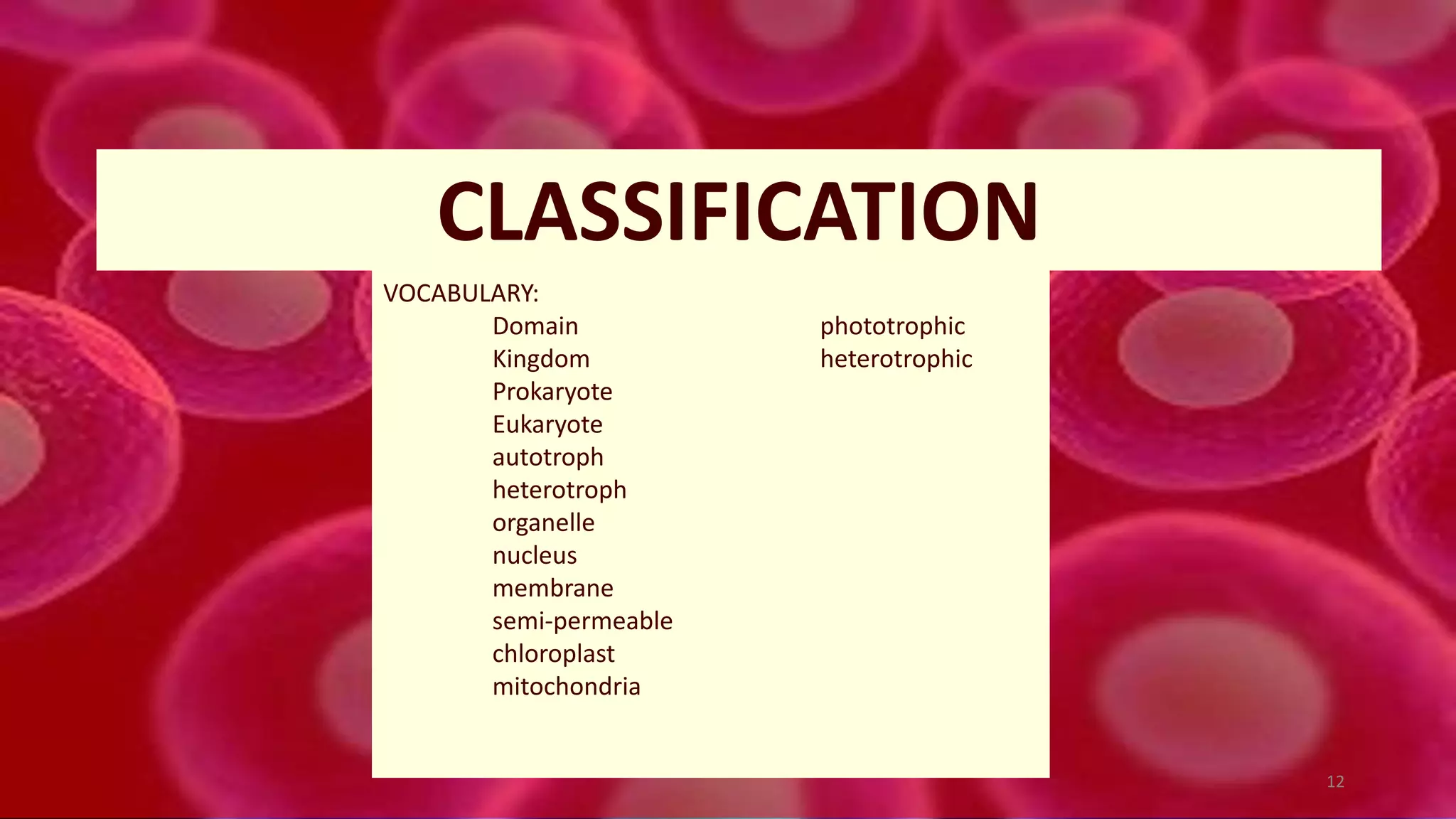 CLASSIFICATION
VOCABULARY:
Domain phototrophic
Kingdom heterotrophic
Prokaryote
Eukaryote
autotroph
heterotroph
organelle
nucleus
membrane
semi-permeable
chloroplast
mitochondria
12
 