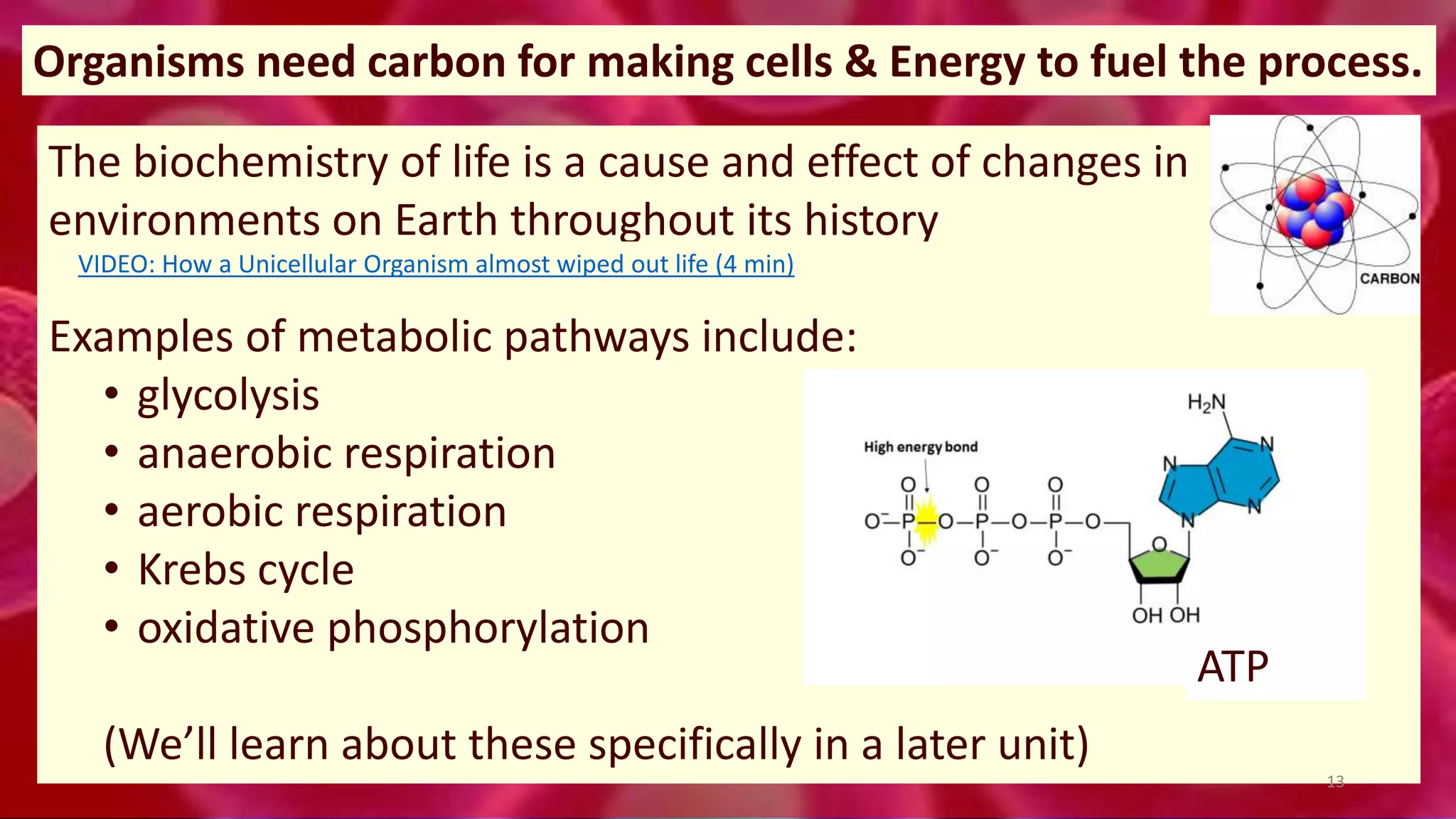The biochemistry of life is a cause and effect of changes in
environments on Earth throughout its history
Examples of metabolic pathways include:
• glycolysis
• anaerobic respiration
• aerobic respiration
• Krebs cycle
• oxidative phosphorylation
(We’ll learn about these specifically in a later unit)
Organisms need carbon for making cells & Energy to fuel the process.
ATP
13
VIDEO: How a Unicellular Organism almost wiped out life (4 min)
 