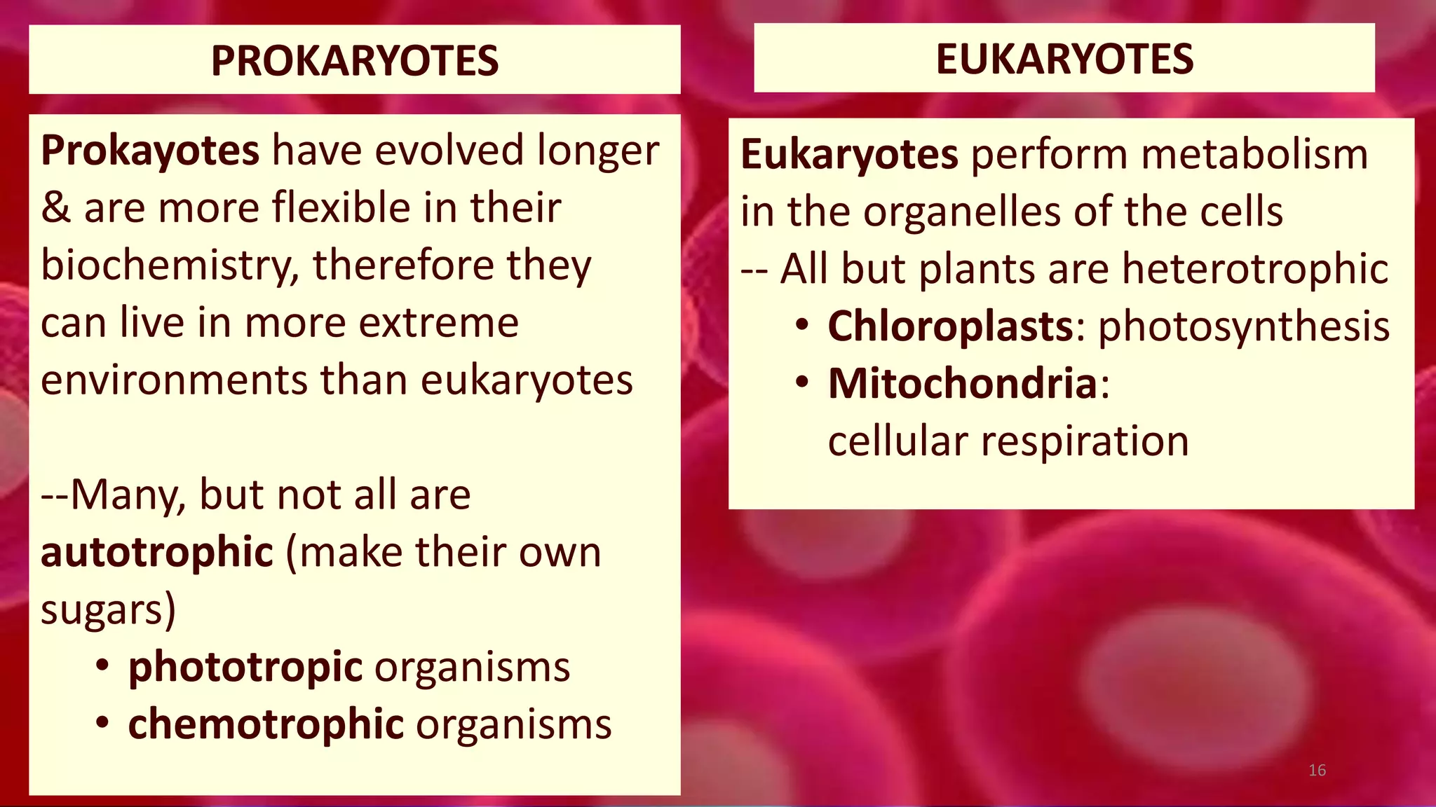 Prokayotes have evolved longer
& are more flexible in their
biochemistry, therefore they
can live in more extreme
environments than eukaryotes
--Many, but not all are
autotrophic (make their own
sugars)
• phototropic organisms
• chemotrophic organisms
Eukaryotes perform metabolism
in the organelles of the cells
-- All but plants are heterotrophic
• Chloroplasts: photosynthesis
• Mitochondria:
cellular respiration
PROKARYOTES EUKARYOTES
16
 