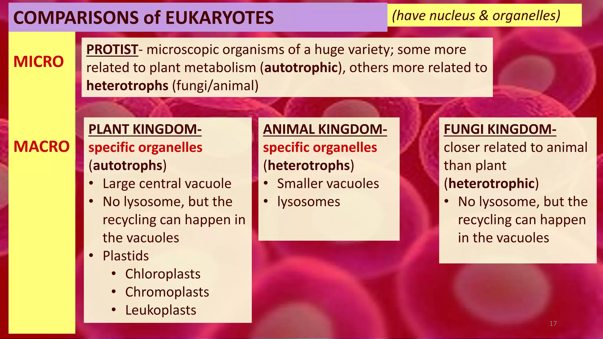 PLANT KINGDOM-
specific organelles
(autotrophs)
• Large central vacuole
• No lysosome, but the
recycling can happen in
the vacuoles
• Plastids
• Chloroplasts
• Chromoplasts
• Leukoplasts
ANIMAL KINGDOM-
specific organelles
(heterotrophs)
• Smaller vacuoles
• lysosomes
FUNGI KINGDOM-
closer related to animal
than plant
(heterotrophic)
• No lysosome, but the
recycling can happen
in the vacuoles
PROTIST- microscopic organisms of a huge variety; some more
related to plant metabolism (autotrophic), others more related to
heterotrophs (fungi/animal)
MICRO
MACRO
(have nucleus & organelles)COMPARISONS of EUKARYOTES
17
 
