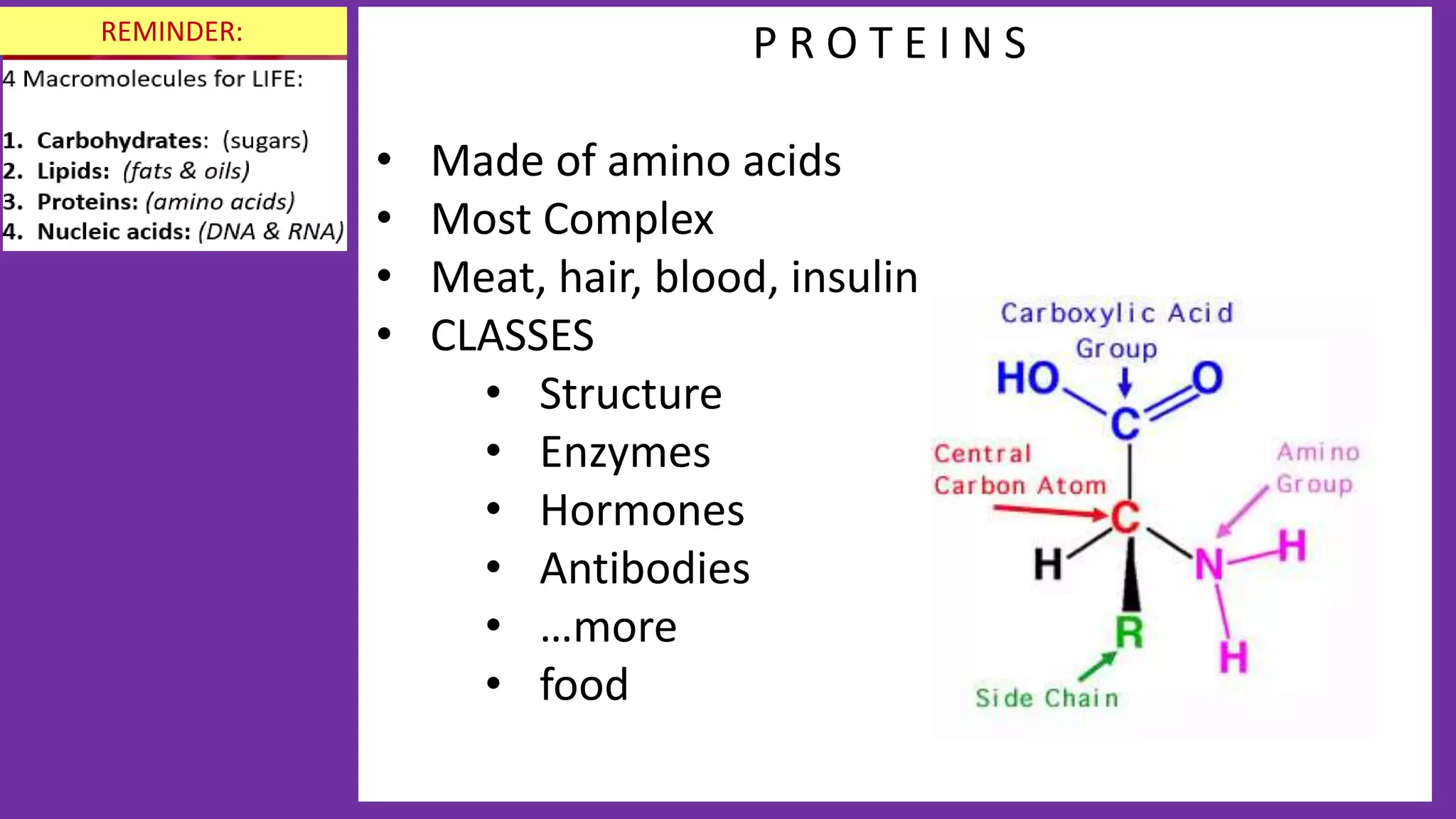 P R O T E I N S
• Made of amino acids
• Most Complex
• Meat, hair, blood, insulin
• CLASSES
• Structure
• Enzymes
• Hormones
• Antibodies
• …more
• food
REMINDER:
 