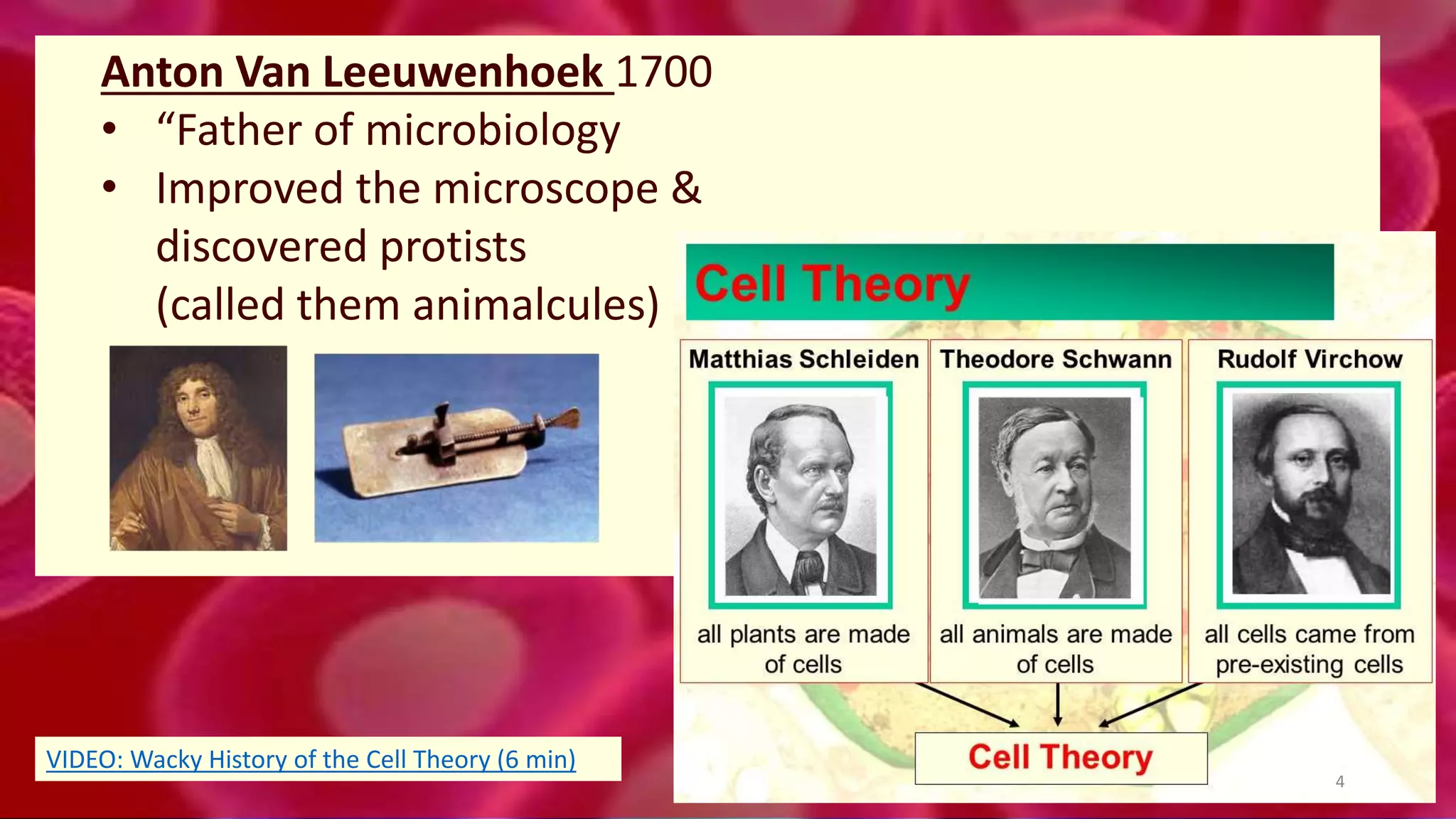 Anton Van Leeuwenhoek 1700
• “Father of microbiology
• Improved the microscope &
discovered protists
(called them animalcules)
4
VIDEO: Wacky History of the Cell Theory (6 min)
 