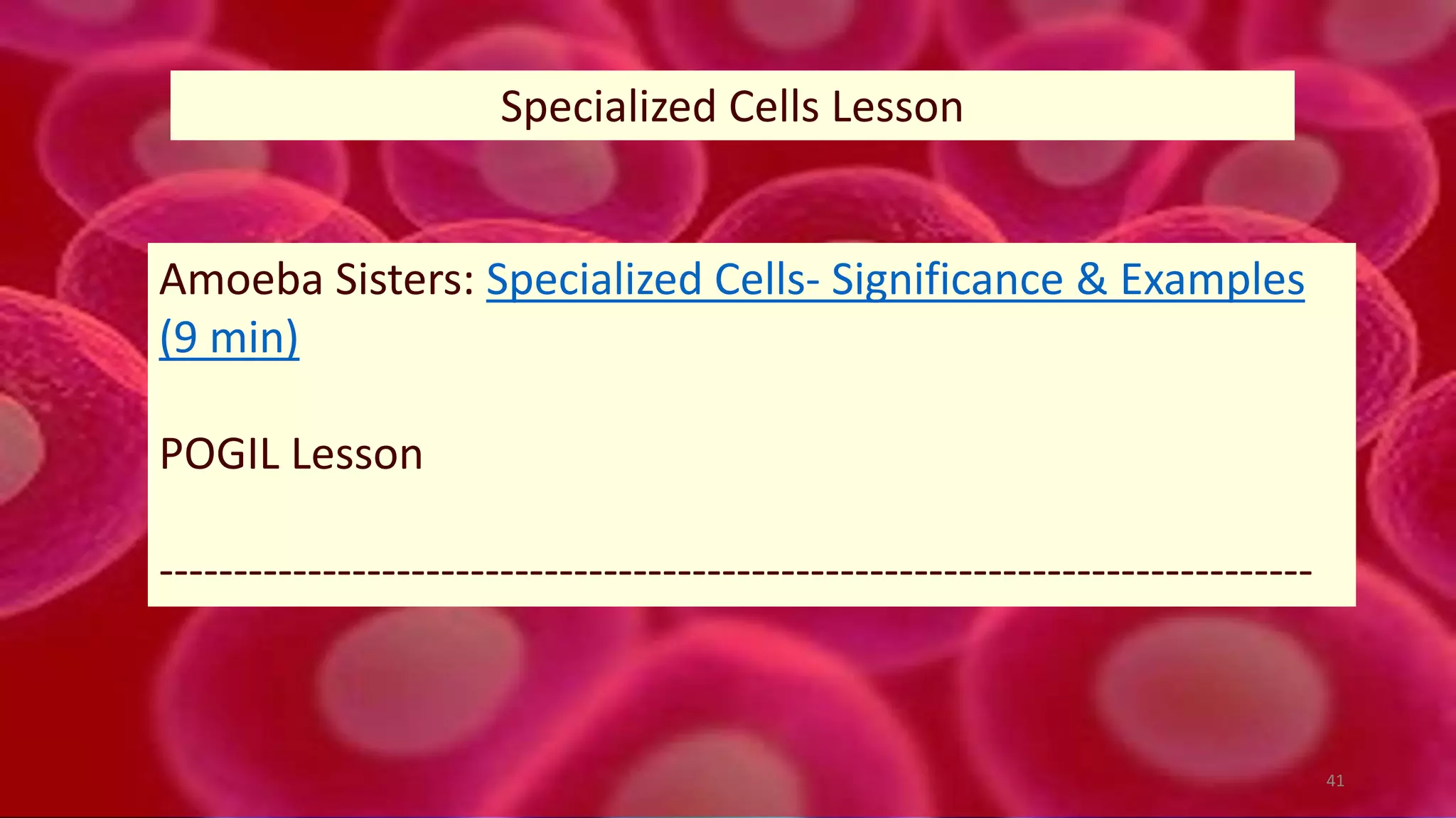 41
Specialized Cells Lesson
Amoeba Sisters: Specialized Cells- Significance & Examples
(9 min)
POGIL Lesson
------------------------------------------------------------------------------
 
