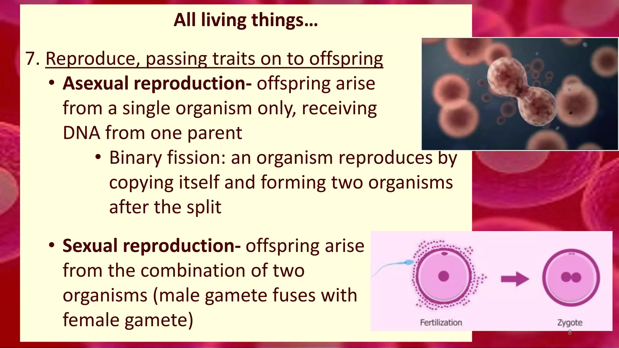 All living things…
7. Reproduce, passing traits on to offspring
• Asexual reproduction- offspring arise
from a single organism only, receiving
DNA from one parent
• Binary fission: an organism reproduces by
copying itself and forming two organisms
after the split
• Sexual reproduction- offspring arise
from the combination of two
organisms (male gamete fuses with
female gamete) 8
 