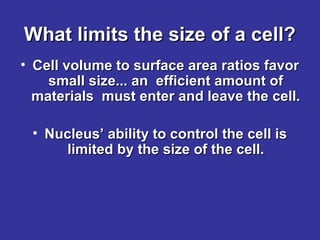 What limits the size of a cell?
• Cell volume to surface area ratios favor
small size... an efficient amount of
materials must enter and leave the cell.
• Nucleus’ ability to control the cell is
limited by the size of the cell.

 