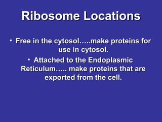Ribosome Locations
• Free in the cytosol…..make proteins for
use in cytosol.
• Attached to the Endoplasmic
Reticulum….. make proteins that are
exported from the cell.

 