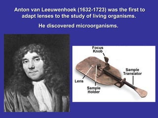 Anton van Leeuwenhoek (1632-1723) was the first to
adapt lenses to the study of living organisms.
He discovered microorganisms.

 