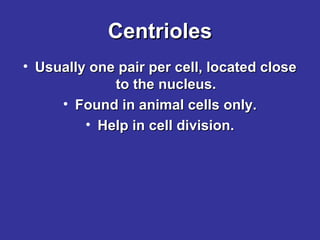 Centrioles
• Usually one pair per cell, located close
to the nucleus.
• Found in animal cells only.
• Help in cell division.

 
