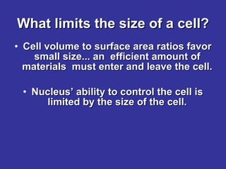 What limits the size of a cell? Cell volume to surface area ratios favor small size... an  efficient amount of materials  must enter and leave the cell. Nucleus’ ability to control the cell is limited by the size of the cell. 