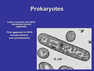 Prokaryotes Lack a nucleus and other membrane bound organelle. First appeared 3.5 BYA include bacteria  and cyanobacteria. E. coli 
