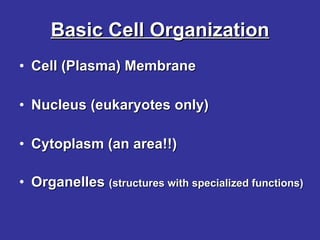 Basic Cell Organization Cell (Plasma) Membrane Nucleus (eukaryotes only) Cytoplasm (an area!!) Organelles  (structures with specialized functions) 