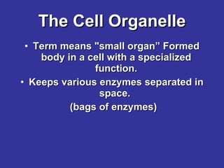 The Cell Organelle Term means "small organ” Formed body in a cell with a specialized function. Keeps various enzymes separated in space.  (bags of enzymes) 