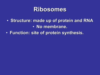 Ribosomes Structure: made up of protein and RNA No membrane. Function: site of protein synthesis. 