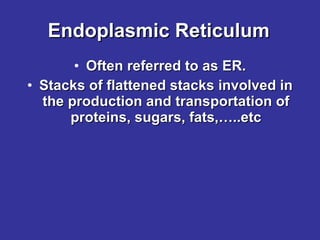 Endoplasmic Reticulum Often referred to as ER. Stacks of flattened stacks involved in the production and transportation of proteins, sugars, fats,…..etc 