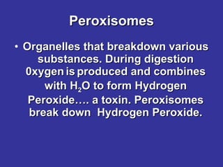 Peroxisomes Organelles that breakdown various substances. During digestion 0xygen   is   produced and combines with H 2 O to form Hydrogen Peroxide…. a toxin. Peroxisomes break down  Hydrogen Peroxide. 
